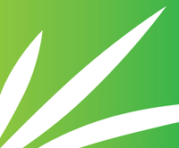 Graphic of white leaves on a green background.