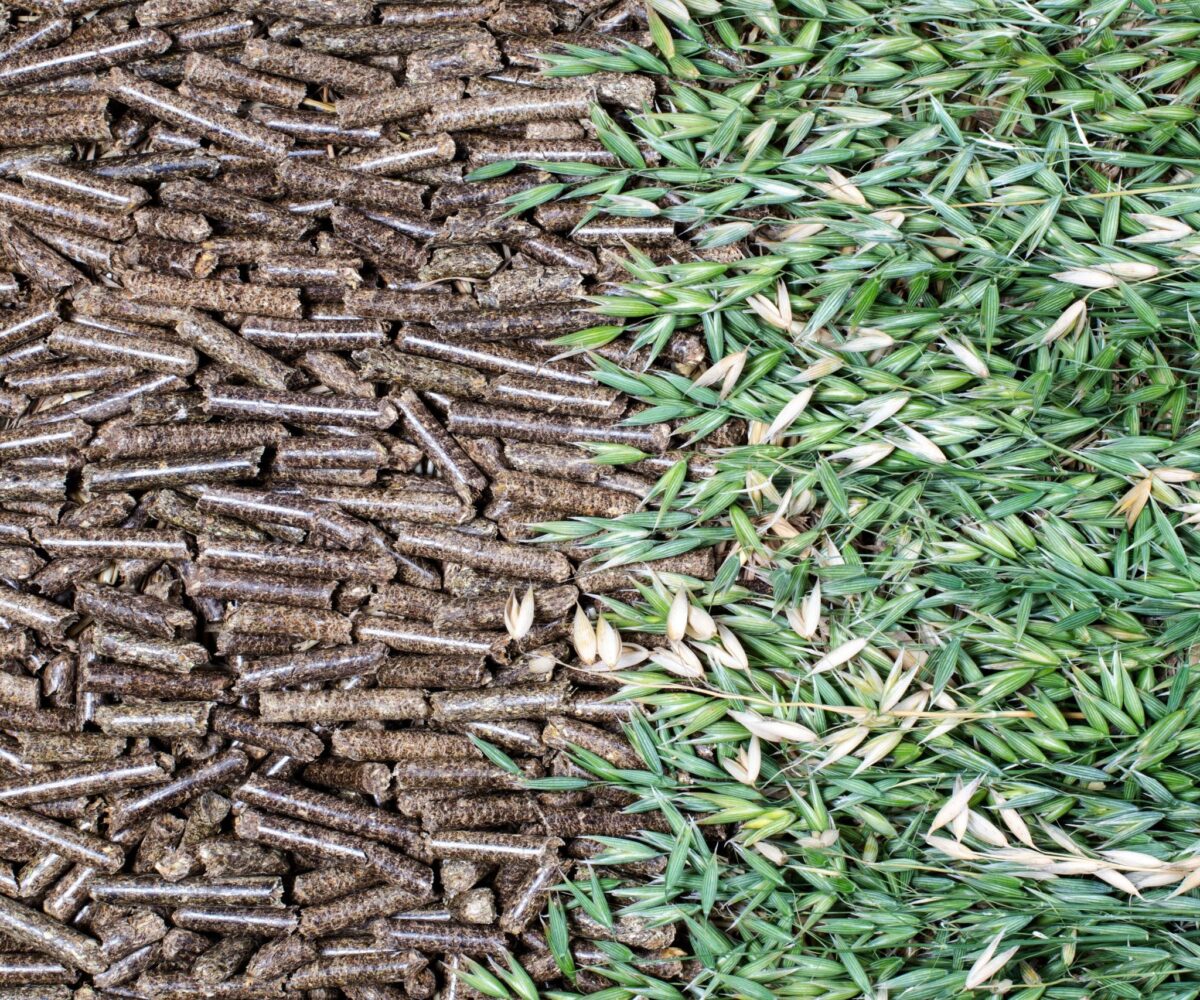 Image of straw pellets and agricultural waste. EQTEC are marketing leaders in the gasification industry. Click to find out more.