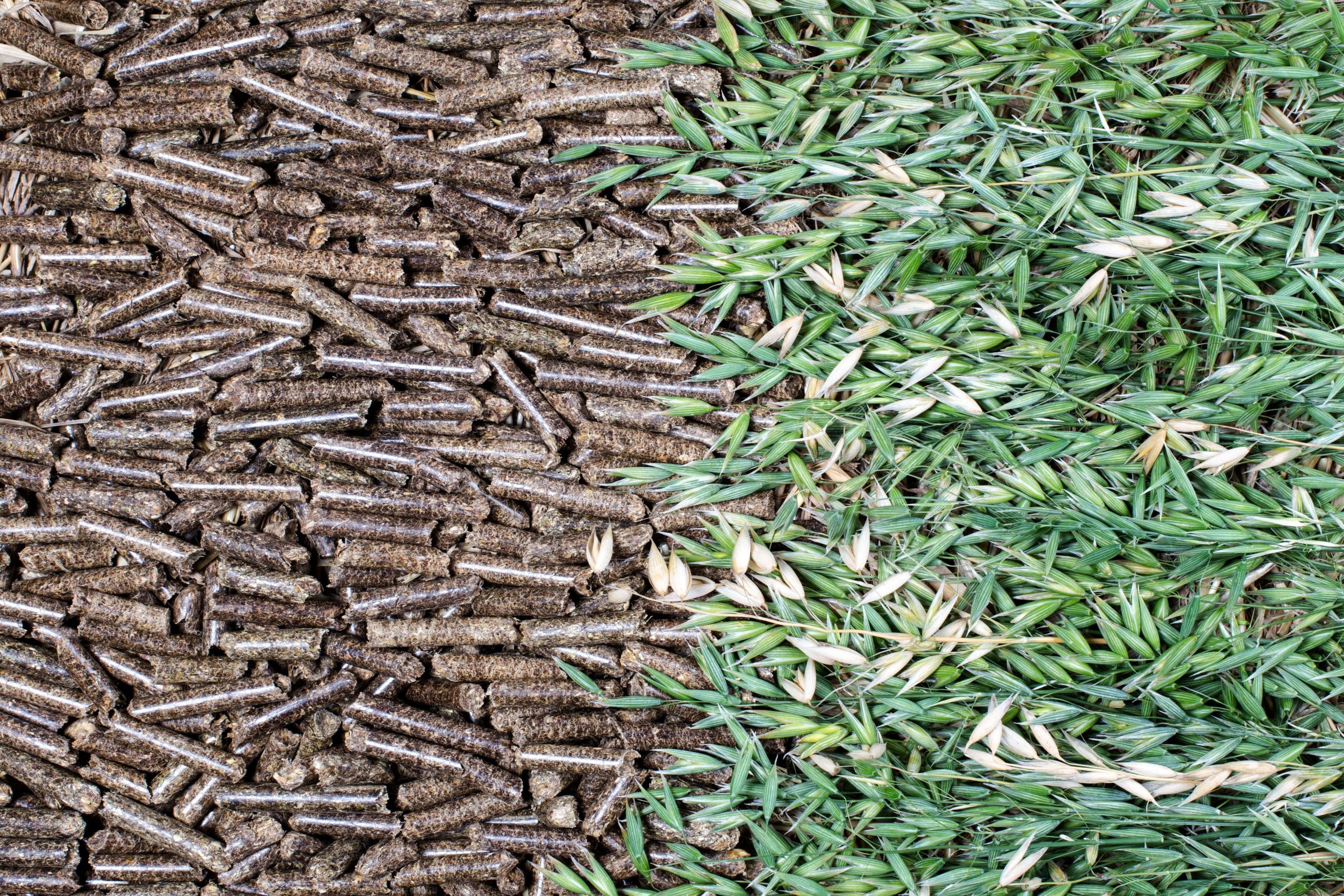 Image of straw pellets and agricultural waste. EQTEC are marketing leaders in the gasification industry. Click to find out more.