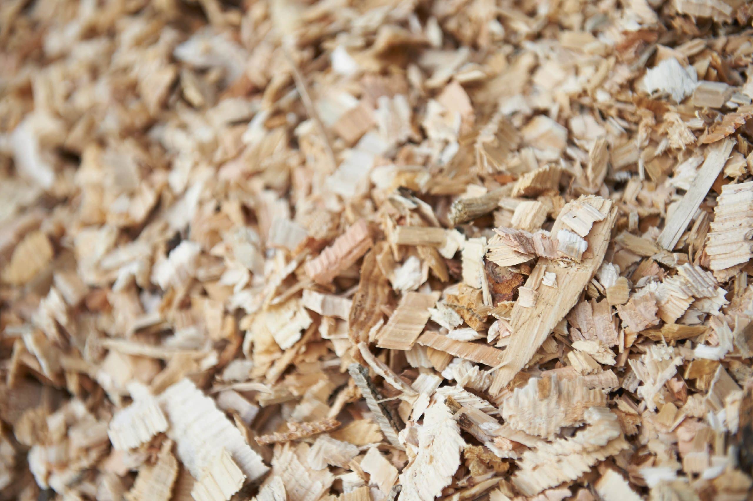 Image of wood chips. EQTEC are marketing leaders in the gasification industry. Click to find out more.