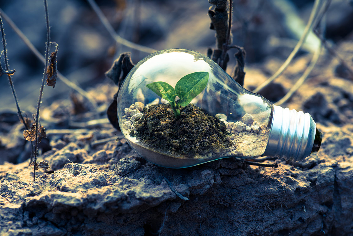 Light bulb with plant growing inside nestled in dirt. EQTEC are marketing leaders in the gasification industry. Click to find out more.