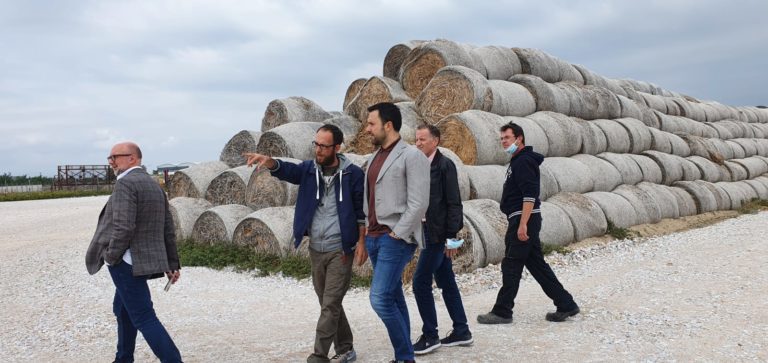 October 2021 - Larissa, Greece - Here is our CEO David Palumbo and COO Jeff Vander Linden, working with our JV partner and visiting the Agrigas 1 biomass project in Larissa, Thessaly. With gasification equipment on site, foundations were being laid for the gasification island and ancillaries.