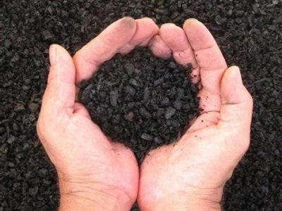 Hands cupped together holding a handful of soil in the middle of them